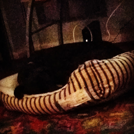 Pet Supply Store «Petco Animal Supplies», reviews and photos, 6325 York Rd, Baltimore, MD 21212, USA