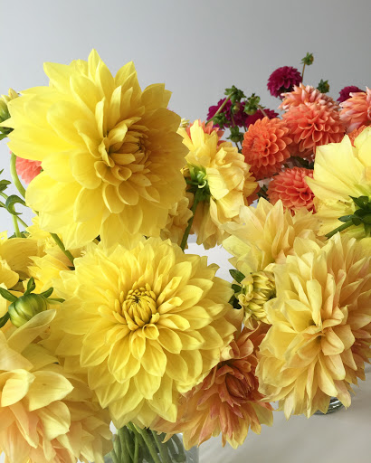 Florist «Flor Del Monte», reviews and photos, 1951 W 22nd Pl, Chicago, IL 60608, USA