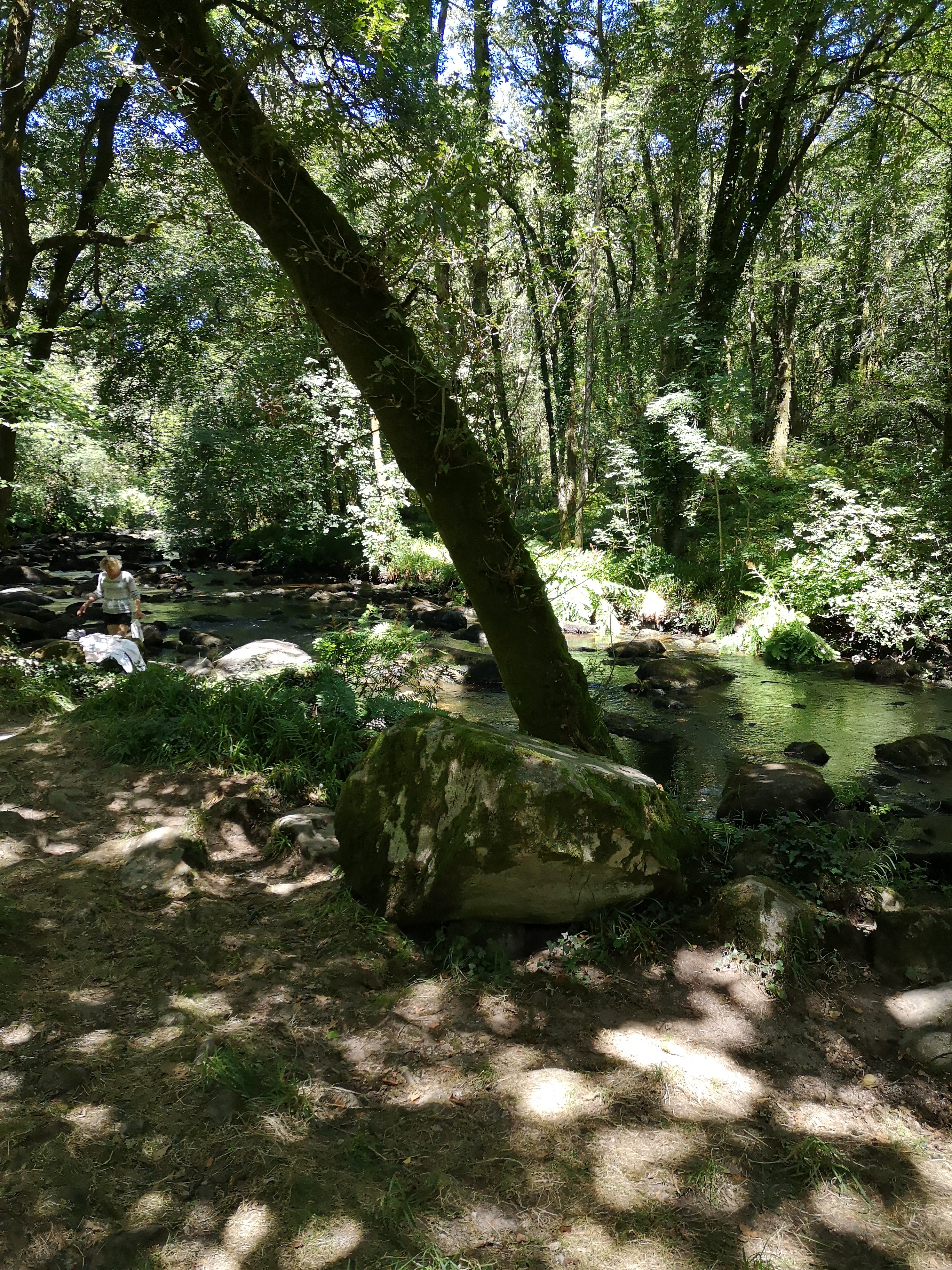 Photo n° 1 de l'avis de Jérémy.W fait le 07/08/2020 à 18:22