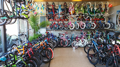 Bicycle Store «Shrewsbury Bicycles», reviews and photos, 765 Broad St, Shrewsbury, NJ 07702, USA