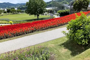 Yamaguchi Flower Land image