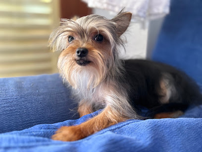 Clínica Veterinaria S'Arenal