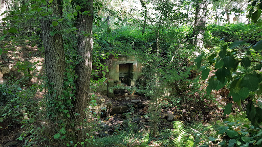 Concello de Castrelo do Val, Ayuntamiento en Castrelo do Val,Ourense