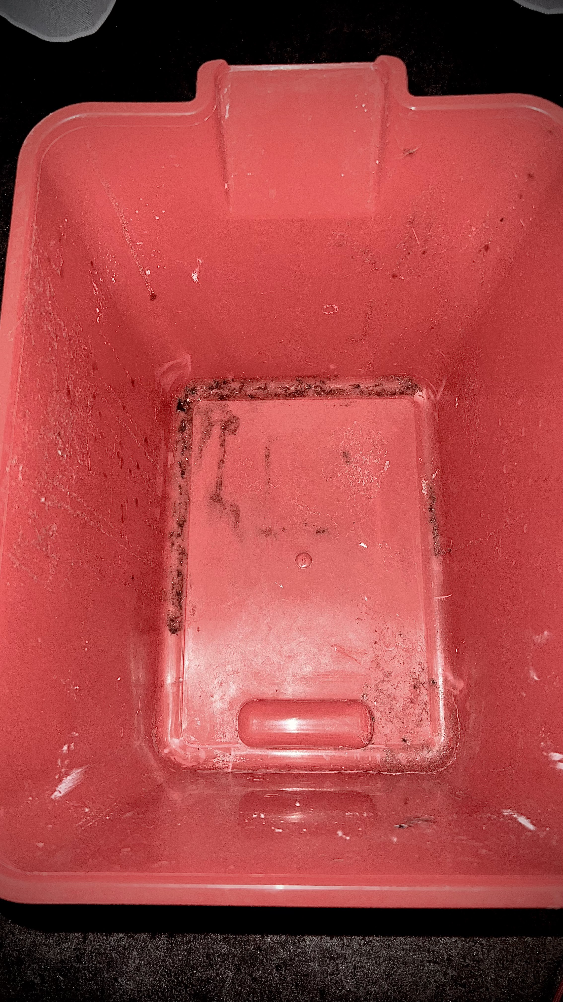 Photo n° 8 de l'avis de ku.a fait le 21/08/2023 à 19:19