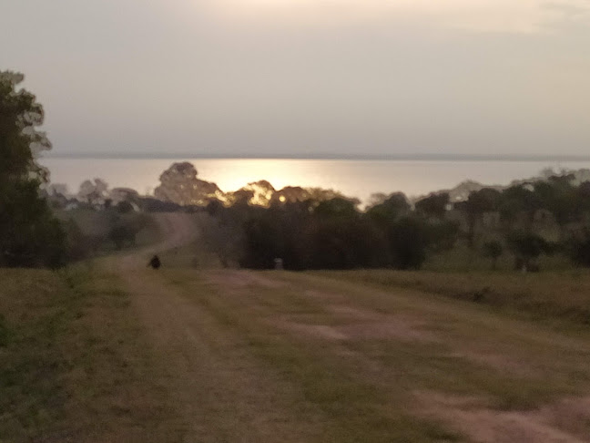 Comentarios y opiniones de Playa Punta Diamante, Urbanización