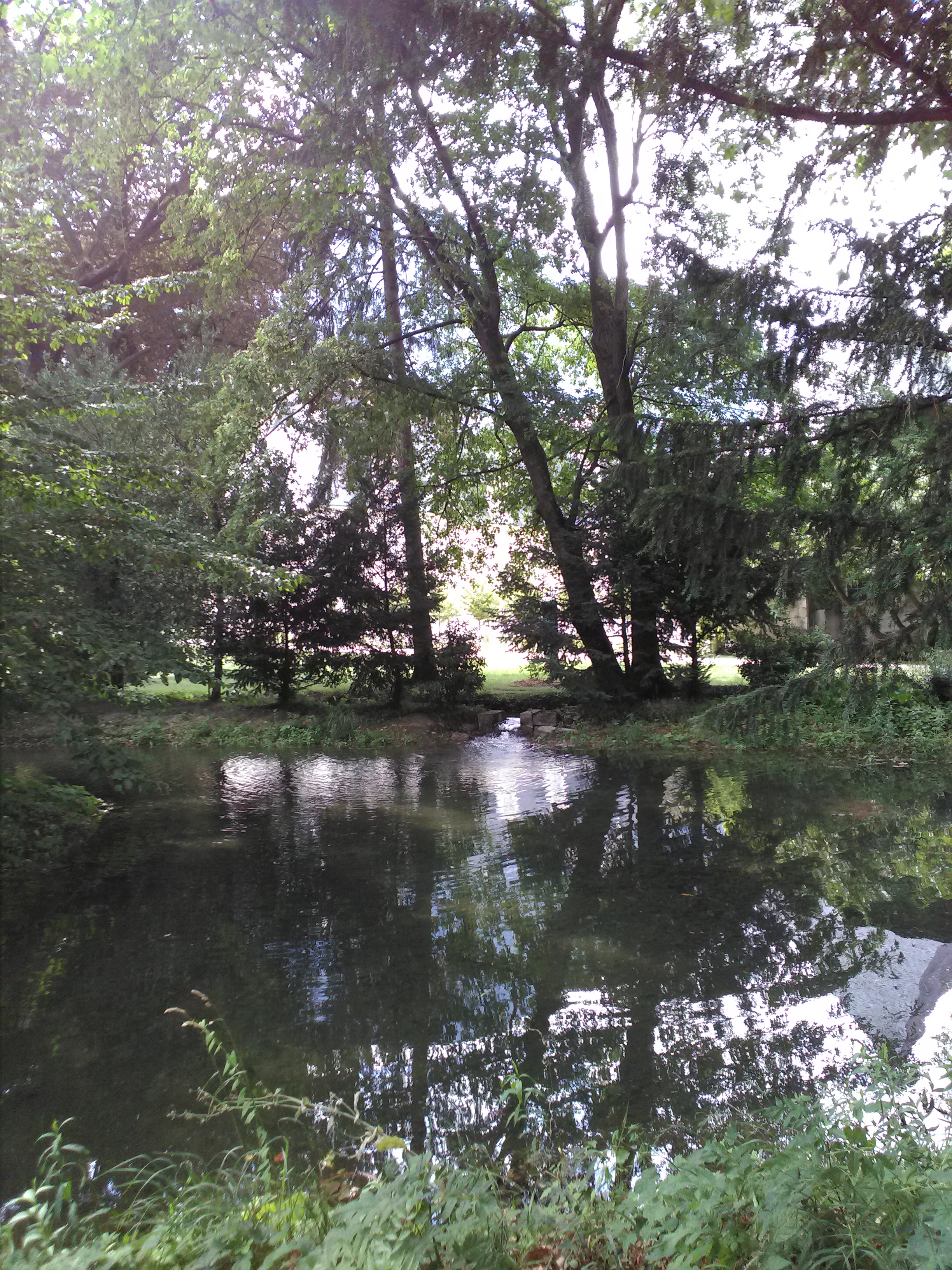 Photo n° 3 de l'avis de Joel.e fait le 17/09/2018 à 07:59