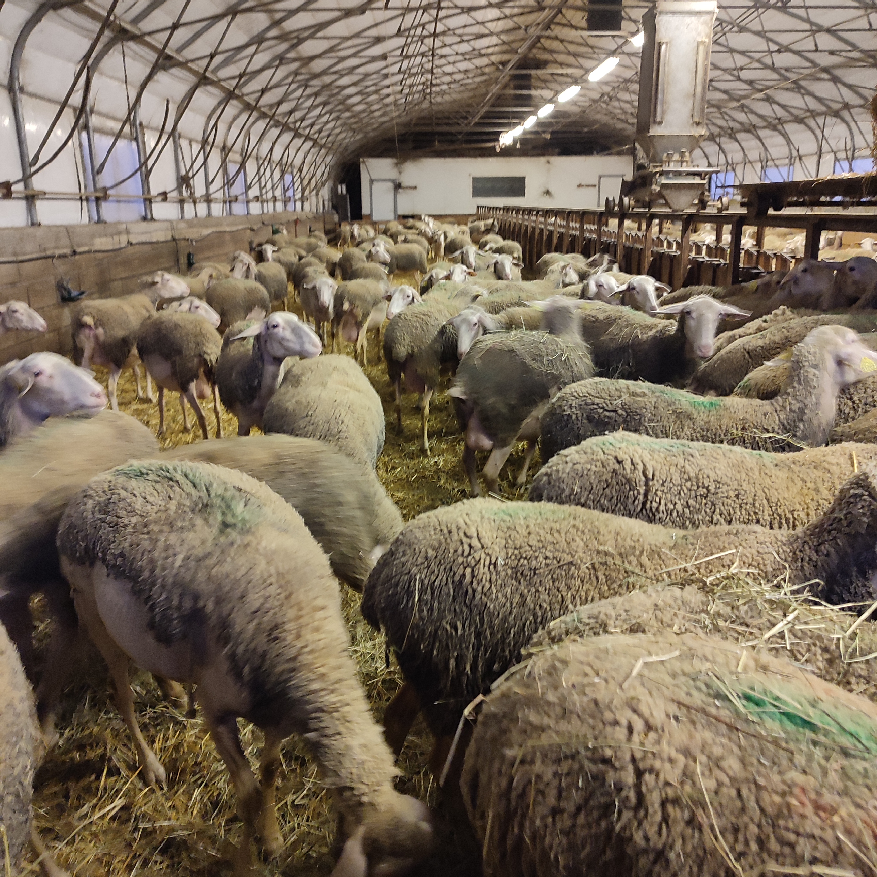 Photo n° 1 de l'avis de Hélène.b fait le 14/02/2023 à 14:30