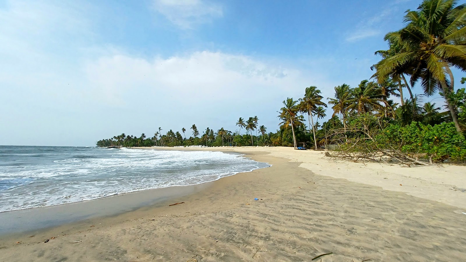 Foto di Ottamassery Beach con molto pulito livello di pulizia