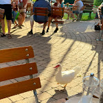 Photo n°3 de l'avis de Masa. fait le 30/06/2023 à 20:18 sur le  Café Ideal im Haus der Deutschen Weinstraße à Bockenheim an der Weinstraße