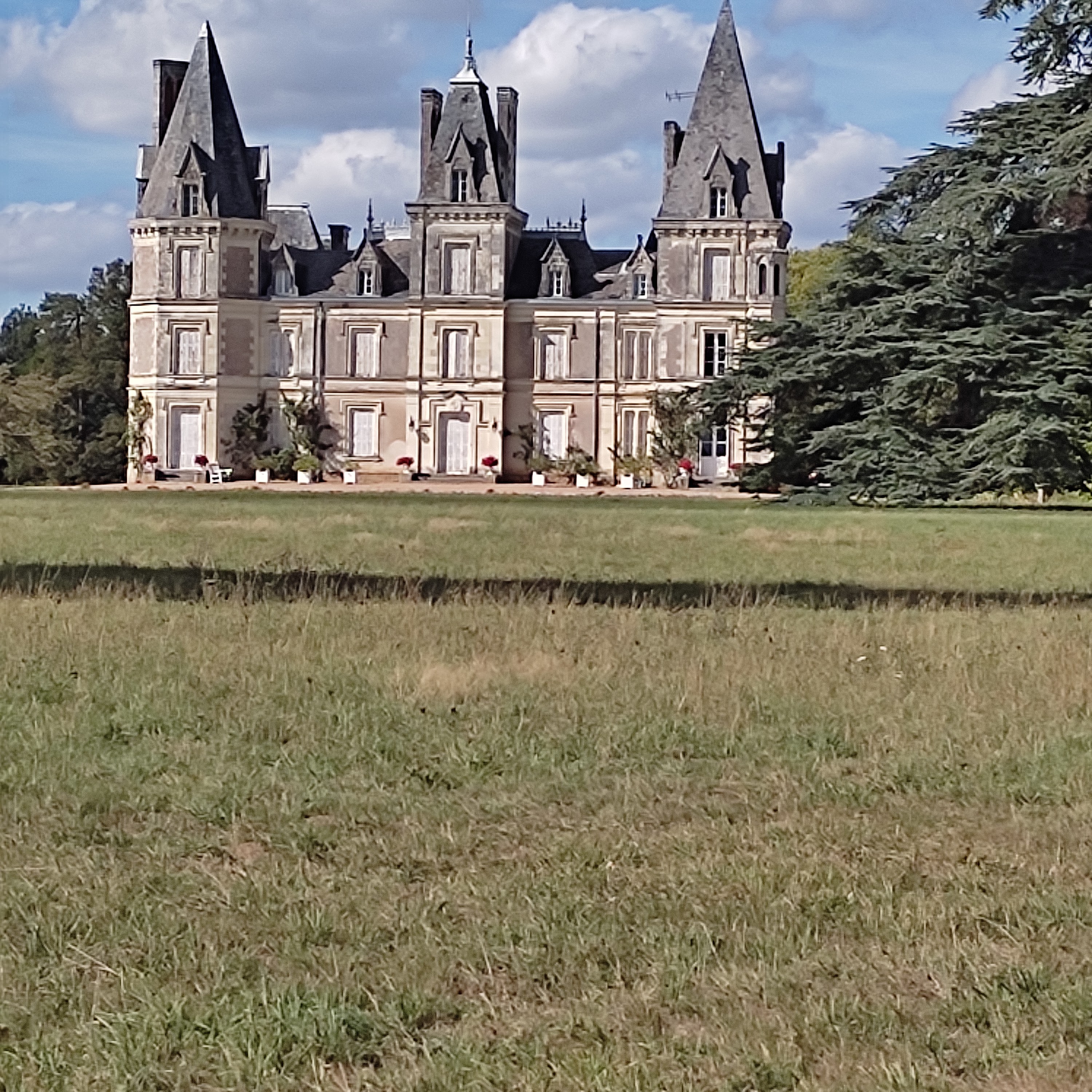 Photo n° 4 de l'avis de Veronique.e fait le 10/09/2022 à 16:50