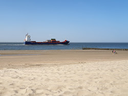 Zoutelande beach II'in fotoğrafı uzun koy ile birlikte