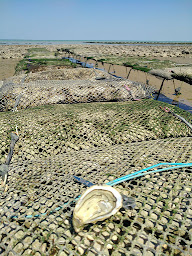 Photo n°17 de La Cabane de Tony à La Flotte ()