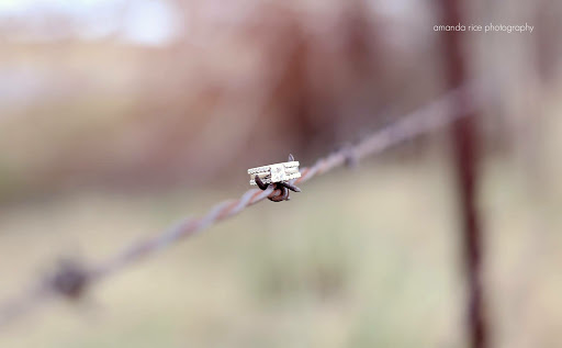 Diamond Dealer «Israel Diamond Supply», reviews and photos, 4852 S Yale Ave, Tulsa, OK 74135, USA