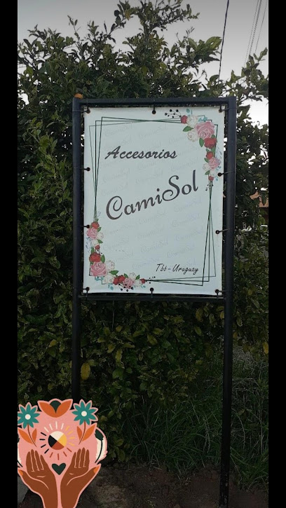 Accesorios CamiSol