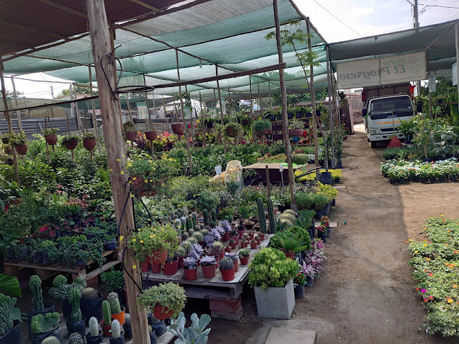 Opiniones de Vivero El Progreso en Chorrillos - Centro de jardinería