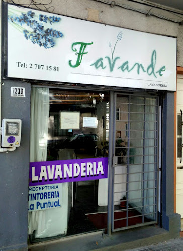 Opiniones de La Lavandería - Lavadero en Ciudad del Plata - Lavandería