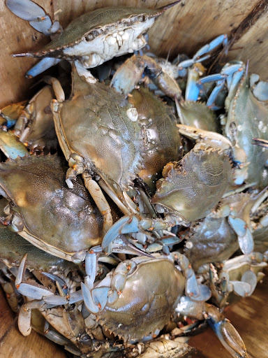 Grocery Store «Asia Grocery---华越», reviews and photos, 5444 Virginia Beach Blvd # 112, Virginia Beach, VA 23462, USA