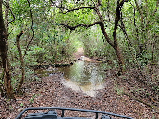 National Forest «Apalachicola National Forest», reviews and photos, Stateroad 13, Sopchoppy, FL 32358, USA