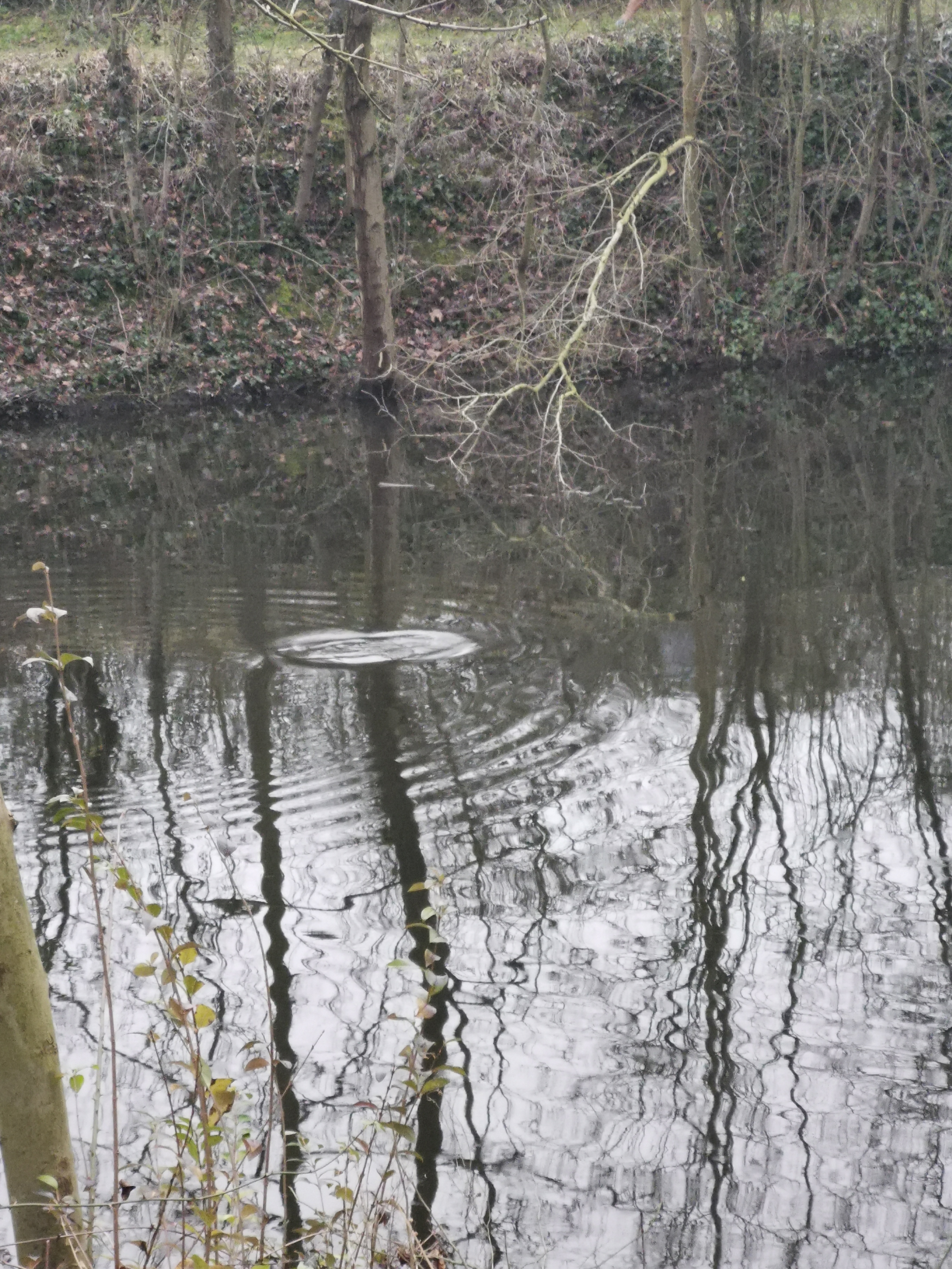 Photo n° 3 de l'avis de Flo.e fait le 24/02/2021 à 16:47
