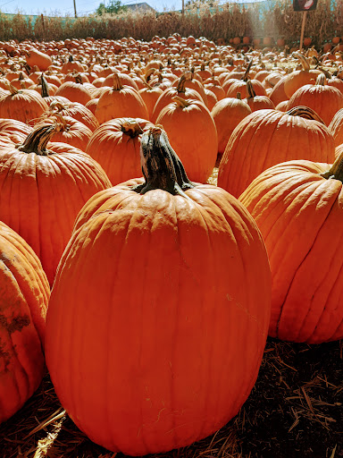 Produce Market «Kuwahara Farms», reviews and photos, 736 12300 S, Draper, UT 84020, USA