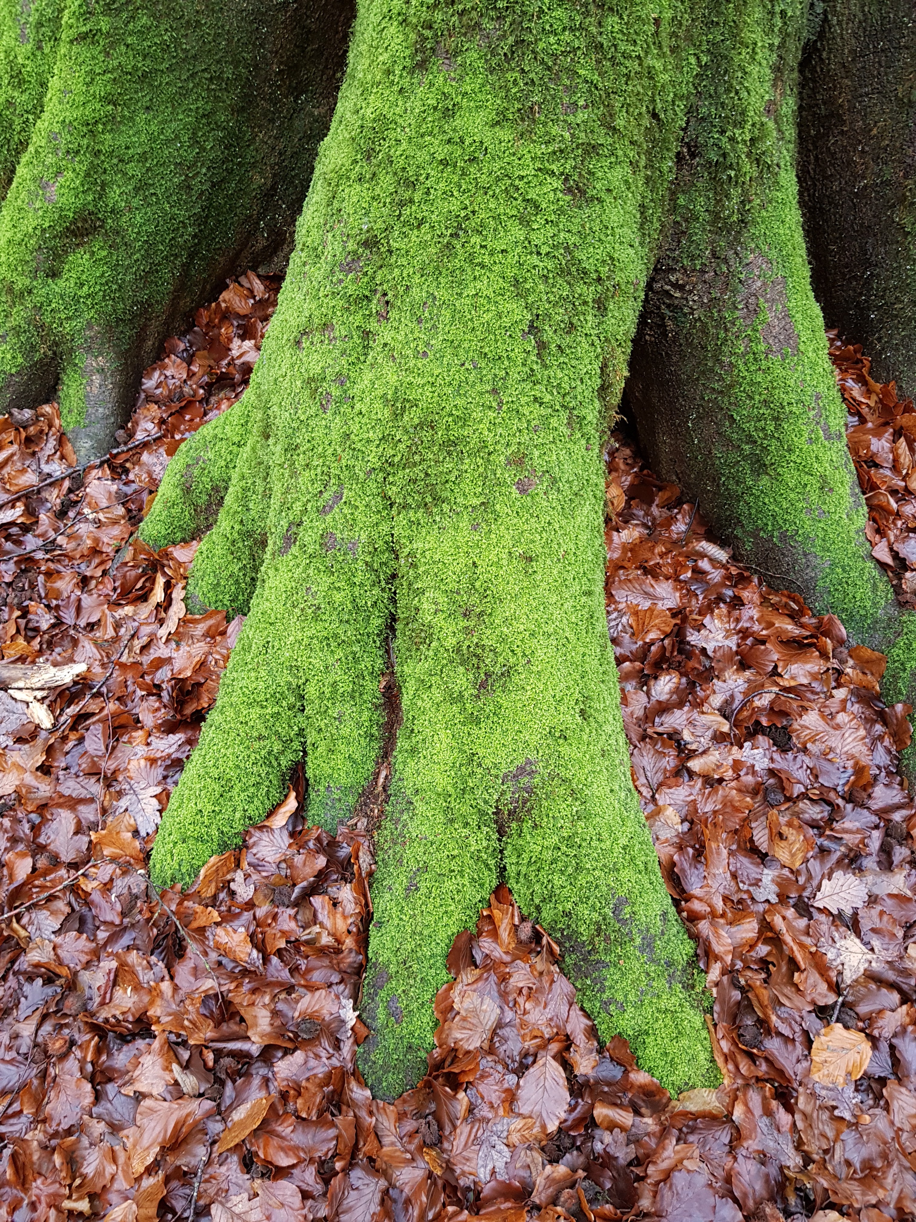 Photo n° 2 de l'avis de Lo.e fait le 24/12/2018 à 22:08