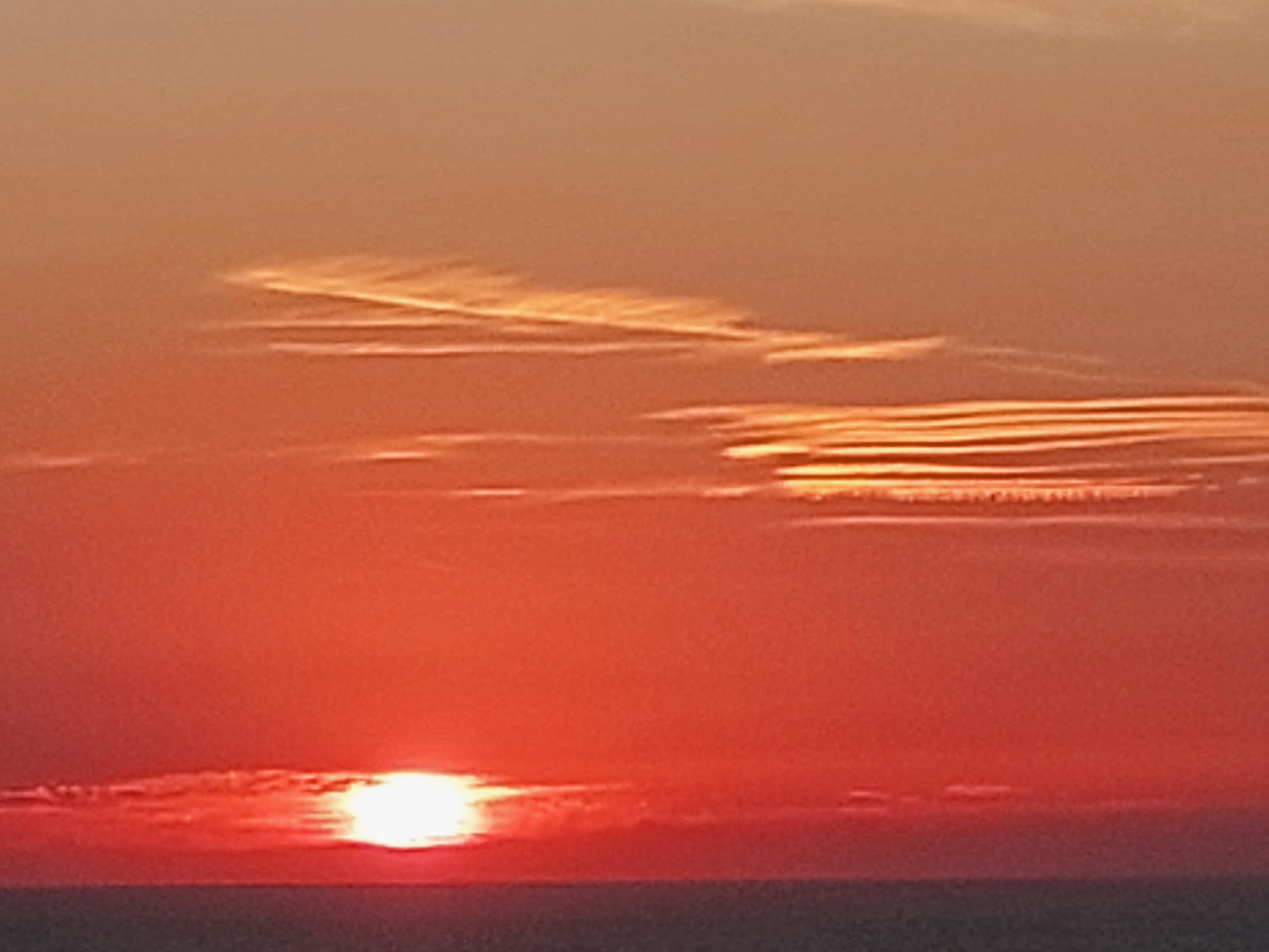 Photo n° 4 de l'avis de gabriel.o fait le 08/08/2022 à 16:15