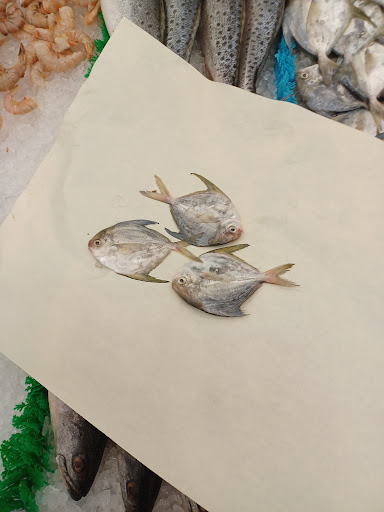 Shopping Mall «Westside Shopping Center», reviews and photos, 2413 Frederick Ave, Baltimore, MD 21223, USA