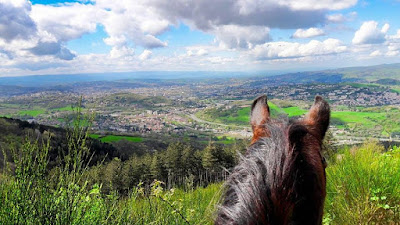 Le P'Ti Ranch à La Valla-en-Gier