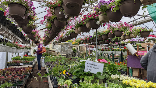 Martins Greenhouse And Nursery