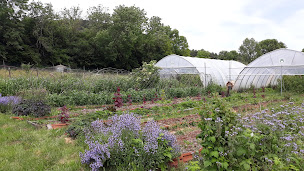 Photo n°37 de La Table de Vailhac à Vissac-Auteyrac ()