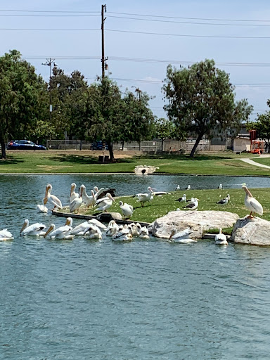 Park «Greer Park», reviews and photos, 6900 W McFadden Ave, Huntington Beach, CA 92647, USA