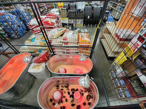 Home Improvement Store «Tractor Supply Co.», reviews and photos, 5940 New Jesup Hwy, Brunswick, GA 31523, USA