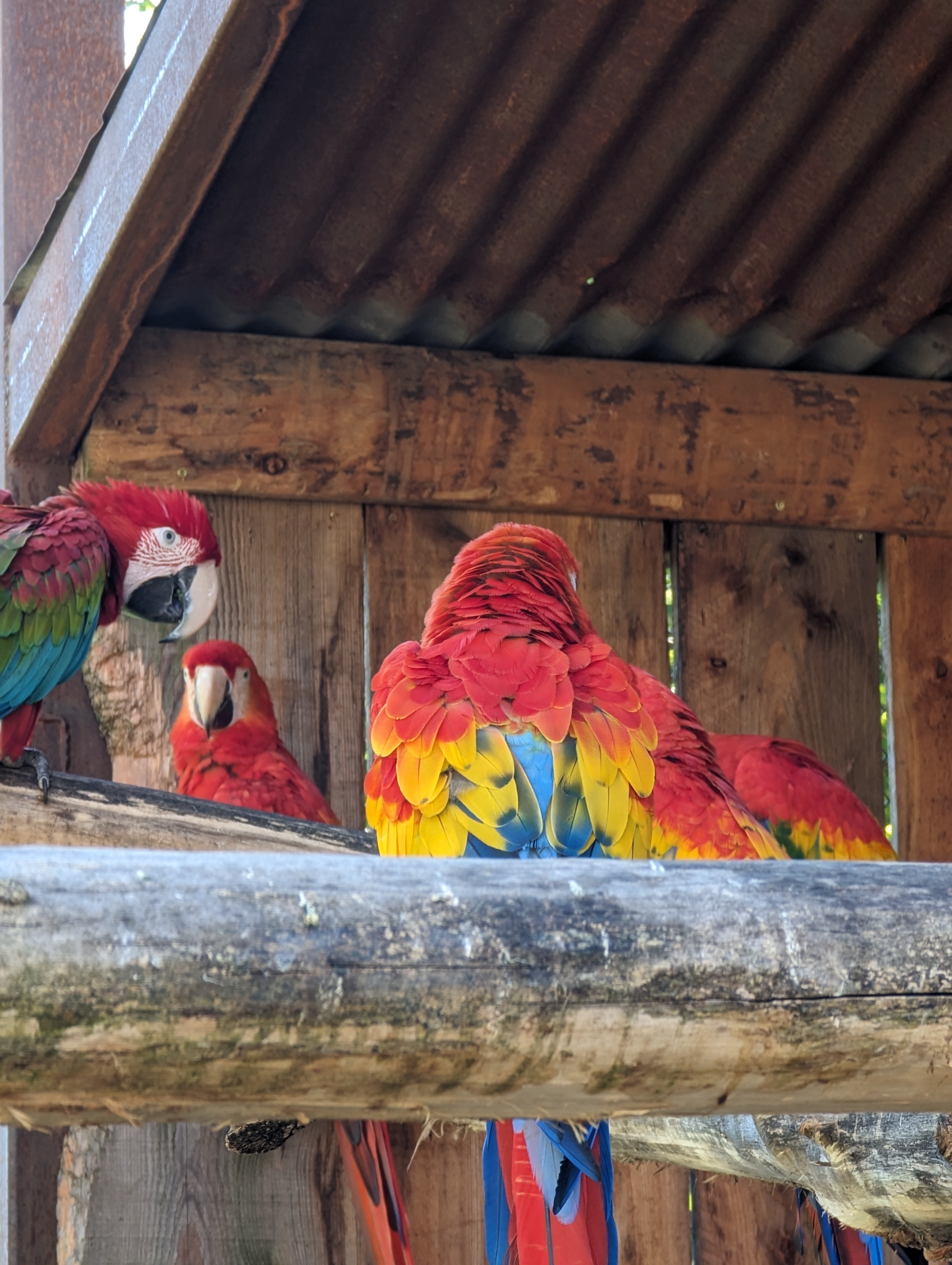 Photo n° 39 de l'avis de Thibaud.l fait le 10/10/2023 à 07:10