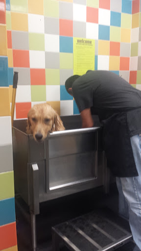 Pet Supply Store «Petco Animal Supplies», reviews and photos, 61-23 190th St, Fresh Meadows, NY 11365, USA