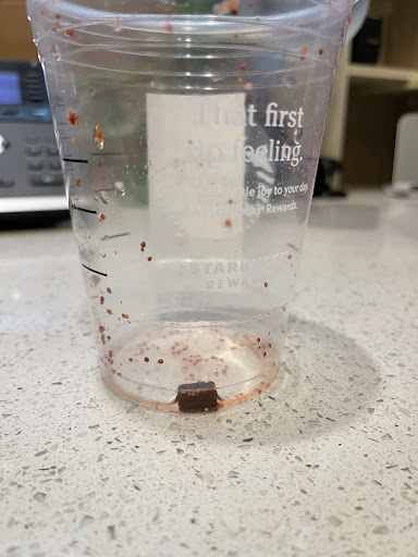 Coffee Shop «Starbucks», reviews and photos, 101 W Campbell Rd, Richardson, TX 75080, USA