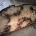 Photo n°1 de l'avis de Patry.o fait le 04/08/2022 à 10:00 sur le  Profumo di Pizza à Fratta Polesine