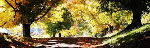 Funeral Home «Craig Funeral Home Crematory Memorial Park», reviews and photos, 1475 Old Dixie Hwy, St Augustine, FL 32084, USA