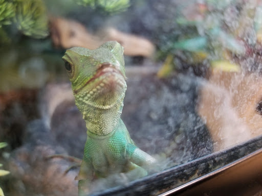 Pet Supply Store «PetSmart», reviews and photos, 2140 17th St, Santa Ana, CA 92705, USA