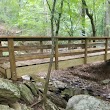 Pea creek trail