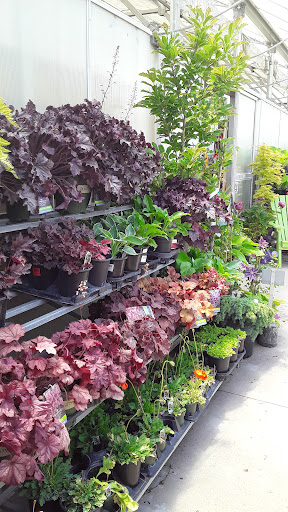 Plant Nursery «Rockin E Country Store», reviews and photos, 1201 W 500 S, Woods Cross, UT 84087, USA