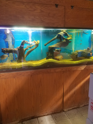 Pet Supply Store «Tropical World Pets», reviews and photos, 8444 Watson Rd, Webster Groves, MO 63119, USA