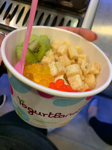 Frozen Yogurt Shop «Yogurtland», reviews and photos, 4170 Lavon Dr #176, Garland, TX 75040, USA