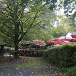 Photo n°3 de l'avis de David.o fait le 13/09/2020 à 07:47 sur le  Erlebniswald Am Acisbrunnen à Schlüchtern