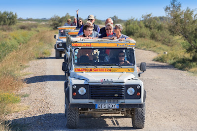 Camargue Alpilles Safari 4x4 à Arles