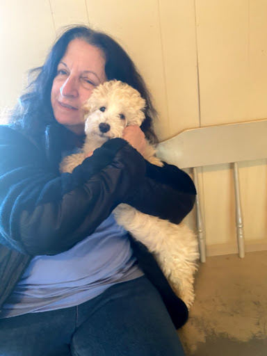 Pet Store «Puppy Palace», reviews and photos, 1250 US-130, Trenton, NJ 08638, USA