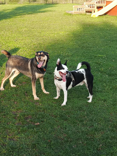 Community Center «Jean Shepherd Community Center», reviews and photos, 3031 J.F. Mahoney Dr, Hammond, IN 46323, USA