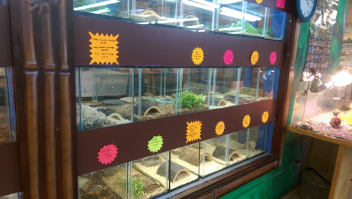 Pet Store «Pets Plus», reviews and photos, 151 Lincoln Hwy, Fairless Hills, PA 19030, USA