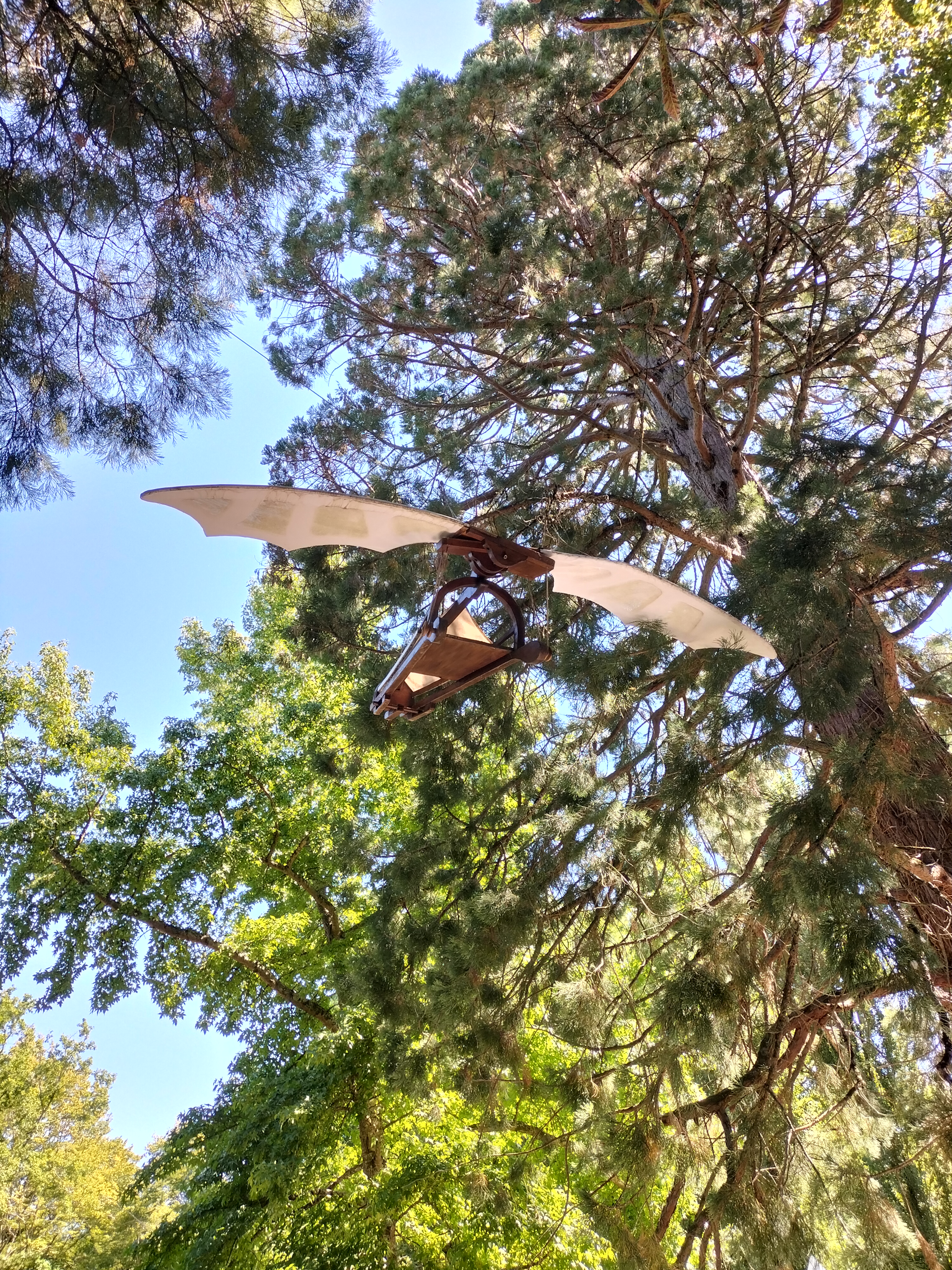 Photo n° 5 de l'avis de delys.a fait le 11/08/2022 à 15:12