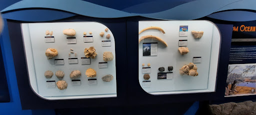 Museum «Museum», reviews and photos, 2142 Southern Dr, Statesboro, GA 30458, USA