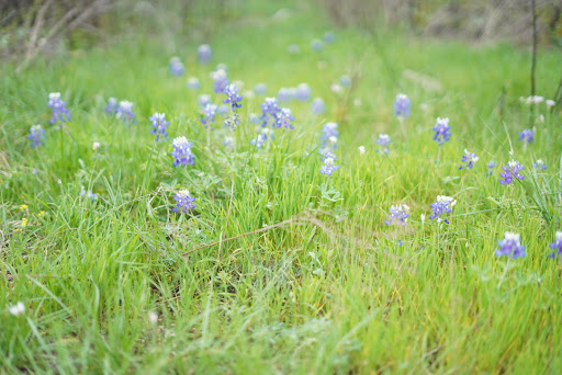 Park «Government Canyon State Natural Area», reviews and photos, 12861 Galm Rd, San Antonio, TX 78254, USA